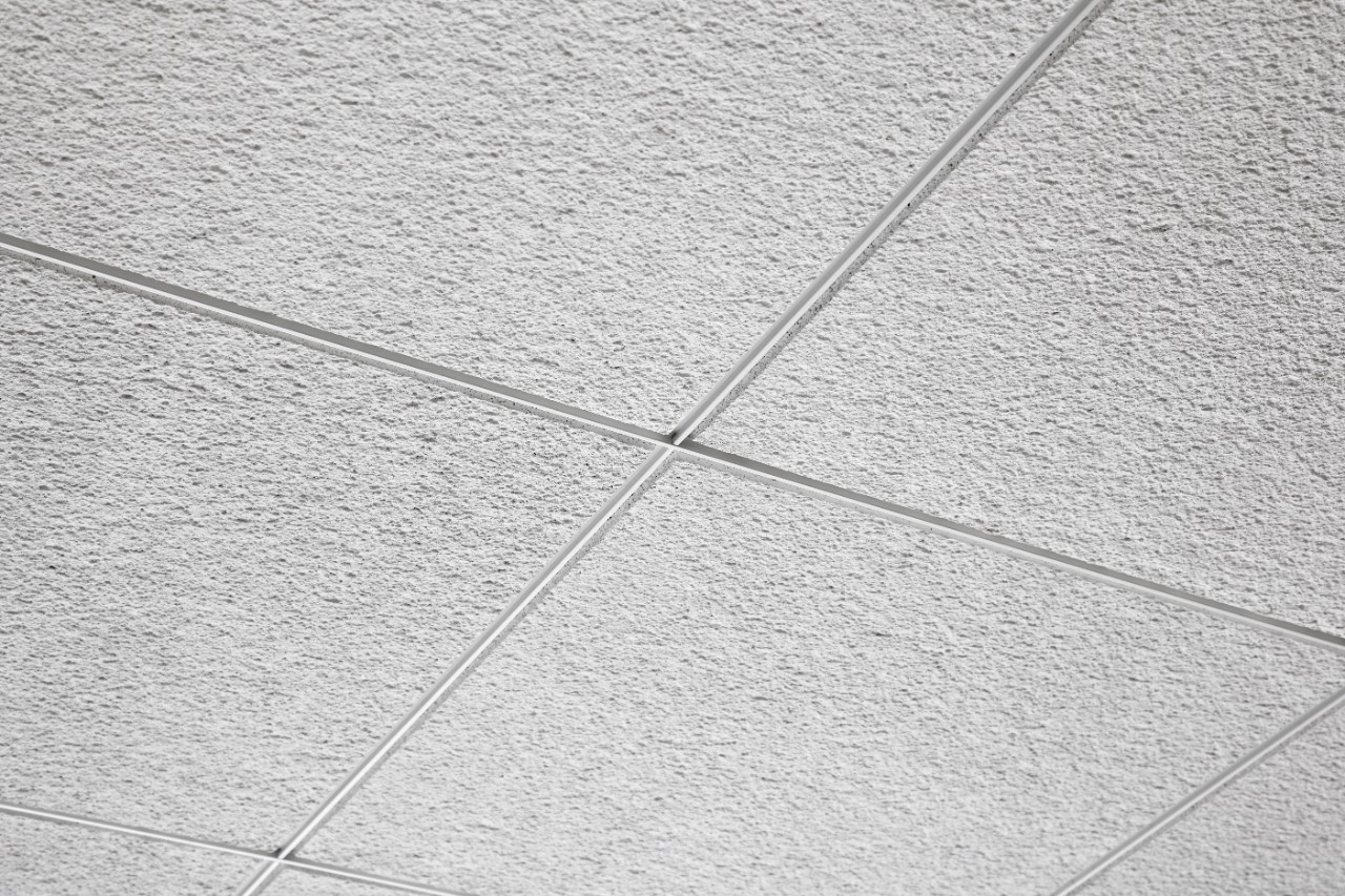 USG Eclipse™ Acoustical Ceiling Panels